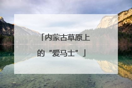 内蒙古草原上的“爱马士”