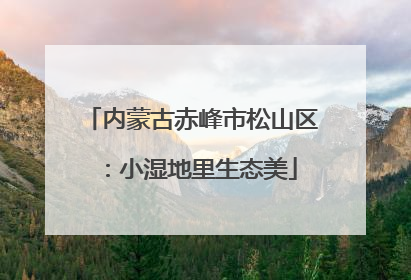 内蒙古赤峰市松山区：小湿地里生态美