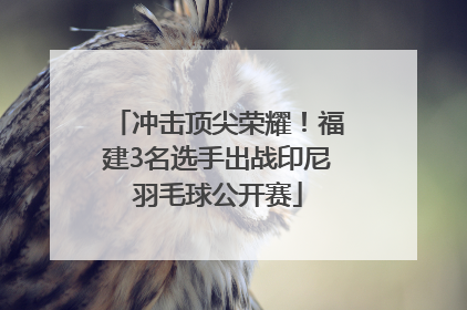 冲击顶尖荣耀！福建3名选手出战印尼羽毛球公开赛