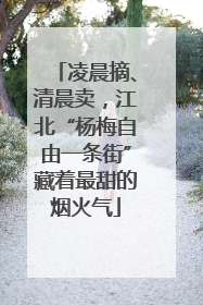 凌晨摘、清晨卖，江北“杨梅自由一条街”藏着最甜的烟火气