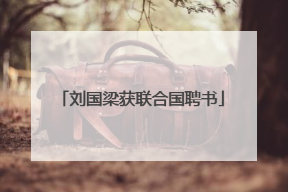刘国梁获联合国聘书