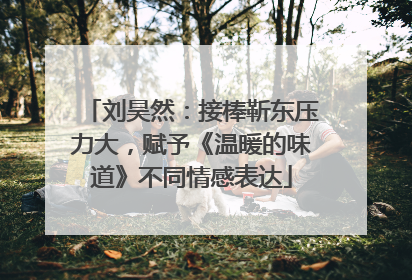 刘昊然：接棒靳东压力大，赋予《温暖的味道》不同情感表达