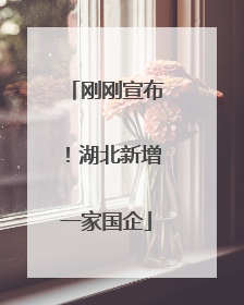 刚刚宣布！湖北新增一家国企
