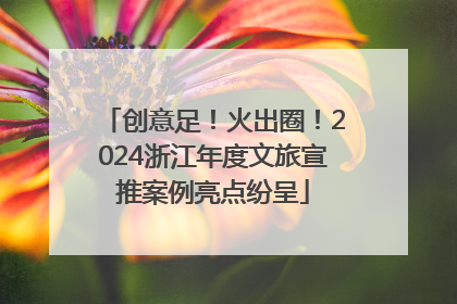 创意足！火出圈！2024浙江年度文旅宣推案例亮点纷呈