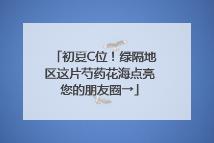 初夏C位！绿隔地区这片芍药花海点亮您的朋友圈→
