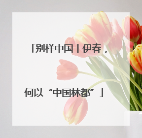 别样中国丨伊春，何以“中国林都”