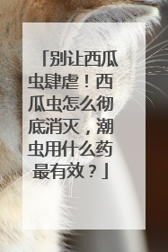 别让西瓜虫肆虐！西瓜虫怎么彻底消灭，潮虫用什么药最有效？