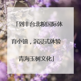 到丰台北粮国际体育小镇，沉浸式体验青海玉树文化