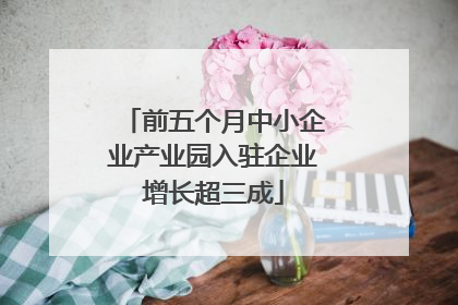 前五个月中小企业产业园入驻企业增长超三成
