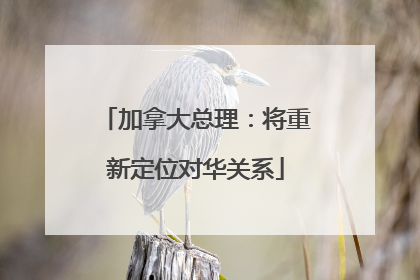 加拿大总理：将重新定位对华关系