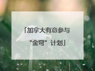 加拿大有意参与“金穹”计划
