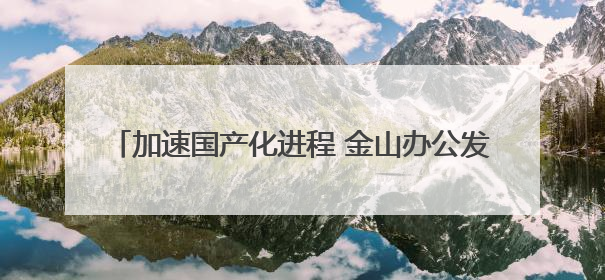 加速国产化进程 金山办公发布WPS AI私有化方案