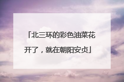 北三环的彩色油菜花开了，就在朝阳安贞