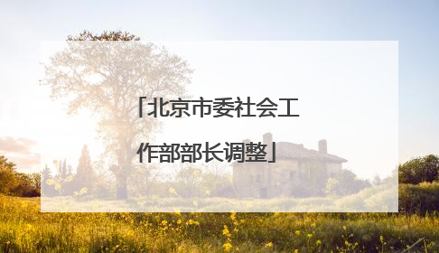 北京市委社会工作部部长调整