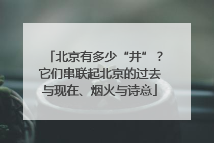 北京有多少“井”？它们串联起北京的过去与现在、烟火与诗意