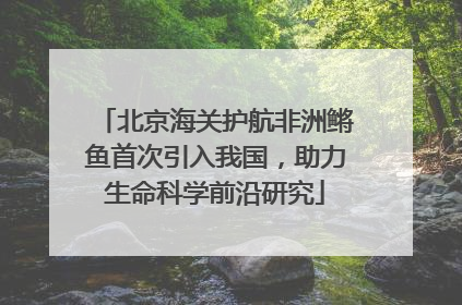 北京海关护航非洲鳉鱼首次引入我国，助力生命科学前沿研究