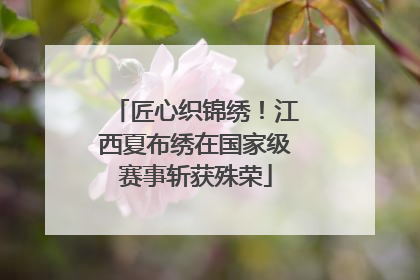 匠心织锦绣！江西夏布绣在国家级赛事斩获殊荣
