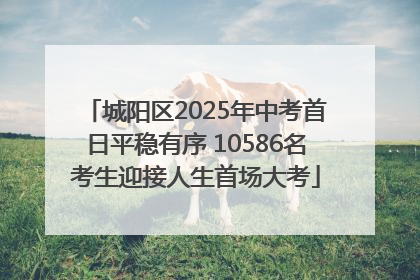 城阳区2025年中考首日平稳有序 10586名考生迎接人生首场大考