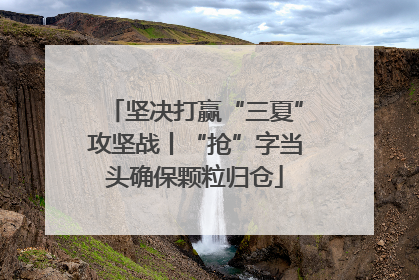 坚决打赢“三夏”攻坚战丨“抢”字当头确保颗粒归仓