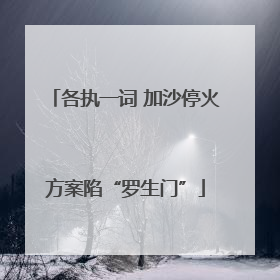 各执一词 加沙停火方案陷“罗生门”
