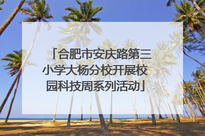 合肥市安庆路第三小学大杨分校开展校园科技周系列活动
