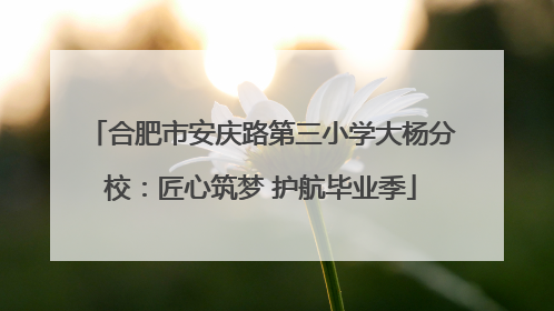 合肥市安庆路第三小学大杨分校：匠心筑梦 护航毕业季