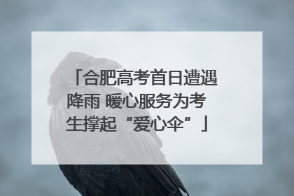 合肥高考首日遭遇降雨 暖心服务为考生撑起“爱心伞”
