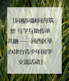 同根同脉同舟筑梦 互学互助传承共融——河西区举办津台青少年国学交流活动