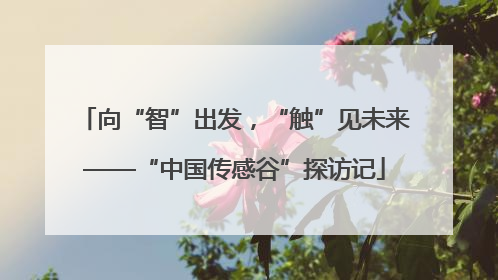 向“智”出发，“触”见未来——“中国传感谷”探访记