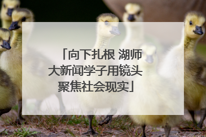 向下扎根 湖师大新闻学子用镜头聚焦社会现实