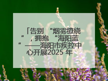 告别 “烟雾缭绕”，拥抱 “海阳蓝”——海阳市疾控中心开展2025 年无烟宣传“海阳特色”实践记录