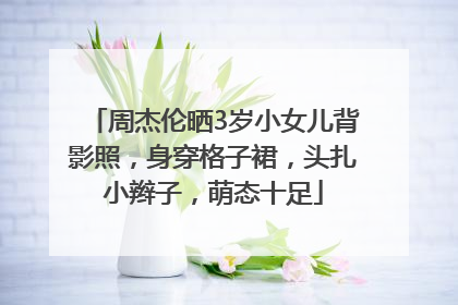 周杰伦晒3岁小女儿背影照，身穿格子裙，头扎小辫子，萌态十足