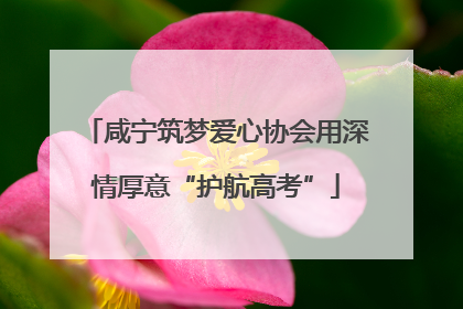 咸宁筑梦爱心协会用深情厚意“护航高考”