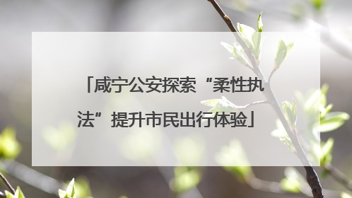 咸宁公安探索“柔性执法”提升市民出行体验