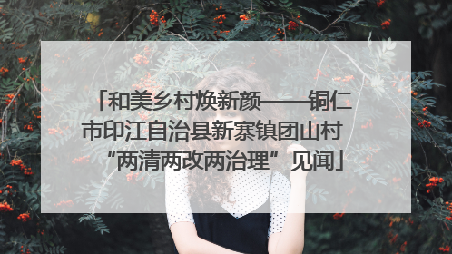 和美乡村焕新颜——铜仁市印江自治县新寨镇团山村“两清两改两治理”见闻