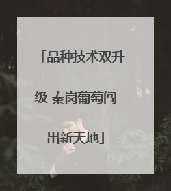 品种技术双升级 秦岗葡萄闯出新天地