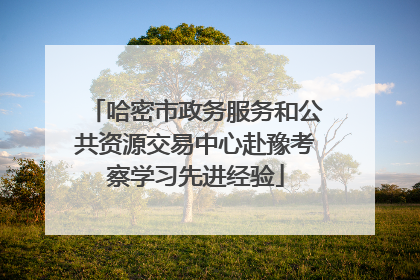 哈密市政务服务和公共资源交易中心赴豫考察学习先进经验