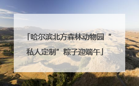 哈尔滨北方森林动物园“私人定制”粽子迎端午