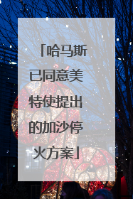 哈马斯已同意美特使提出的加沙停火方案