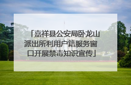 嘉祥县公安局卧龙山派出所利用户籍服务窗口开展禁毒知识宣传