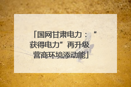 国网甘肃电力：“获得电力”再升级 营商环境添动能