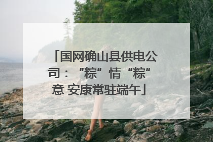 国网确山县供电公司：“粽”情“粽”意 安康常驻端午