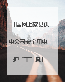 国网上蔡县供电公司安全用电护“丰”景