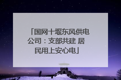 国网十堰东风供电公司：支部共建 居民用上安心电