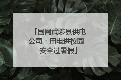 国网武陟县供电公司：用电进校园  安全过暑假