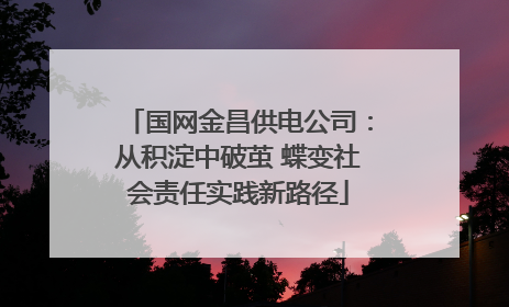 国网金昌供电公司：从积淀中破茧 蝶变社会责任实践新路径