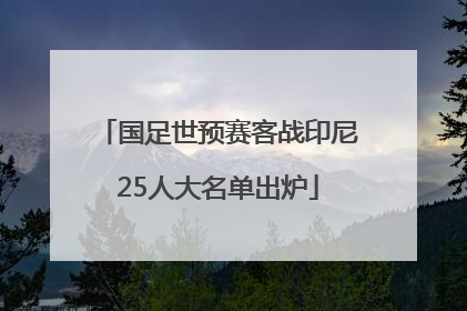 国足世预赛客战印尼25人大名单出炉