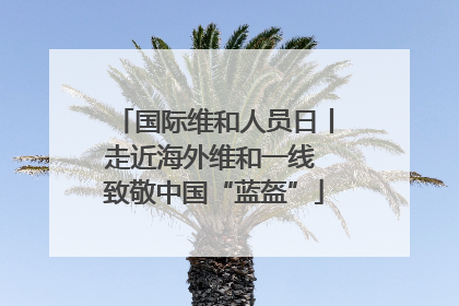 国际维和人员日丨走近海外维和一线 致敬中国“蓝盔”