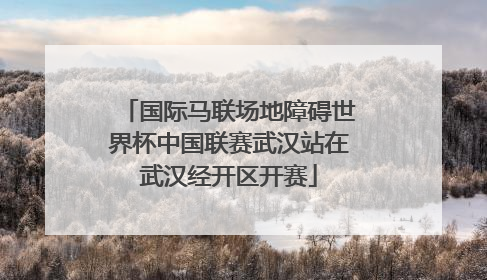 国际马联场地障碍世界杯中国联赛武汉站在武汉经开区开赛