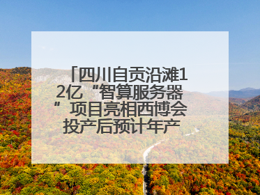 四川自贡沿滩12亿“智算服务器”项目亮相西博会 投产后预计年产值达15亿元